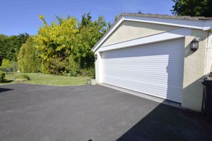 Photo 25- click for photo gallery